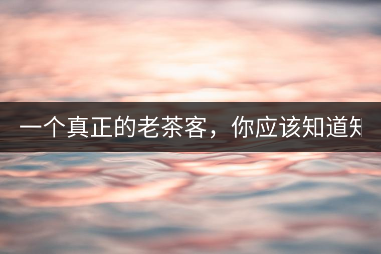 一個(gè)真正的老茶客，你應(yīng)該知道知識(shí)點(diǎn)！