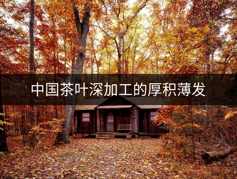 中國(guó)茶葉深加工的厚積薄發(fā)