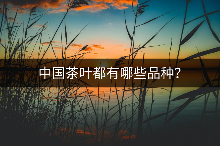 中國茶葉都有哪些品種？