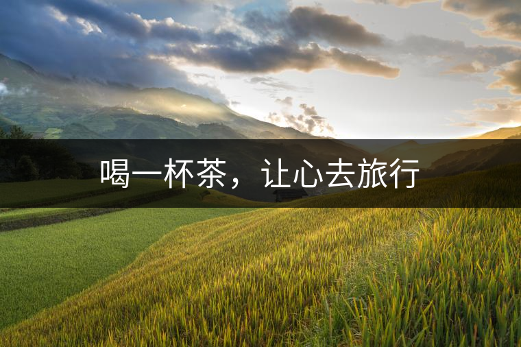 喝一杯茶，讓心去旅行
