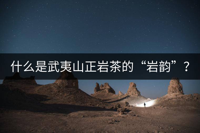 什么是武夷山正巖茶的“巖韻”？