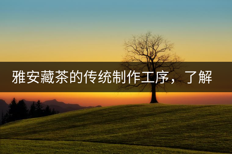 雅安藏茶的傳統(tǒng)制作工序，了解了傳統(tǒng)技藝才能更好的了解茶品！