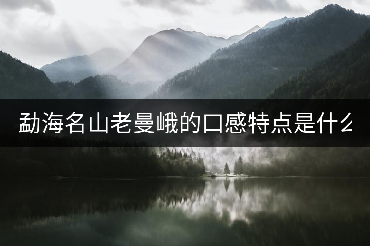 勐海名山老曼峨的口感特點(diǎn)是什么? 勐海名山老曼峨的口感特點(diǎn)是什么?