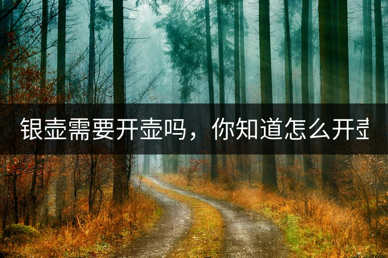 銀壺需要開(kāi)壺嗎，你知道怎么開(kāi)壺？