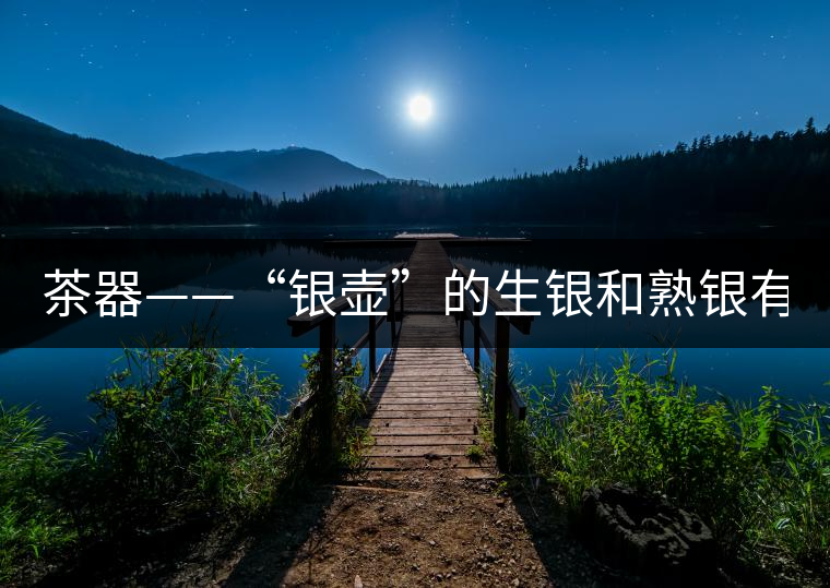 茶器——“銀壺”的生銀和熟銀有什么區(qū)別嗎？