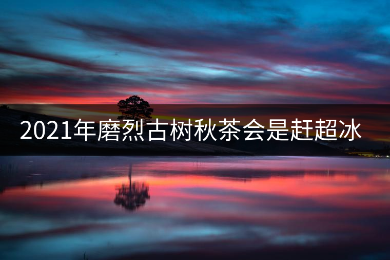 2021年磨烈古樹秋茶會(huì)是趕超冰島的存在嗎？