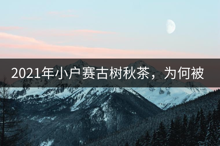 2021年小戶賽古樹秋茶，為何被稱為賽冰島？