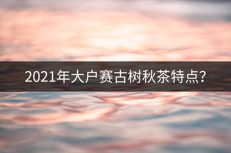 2021年大戶賽古樹(shù)秋茶特點(diǎn)？