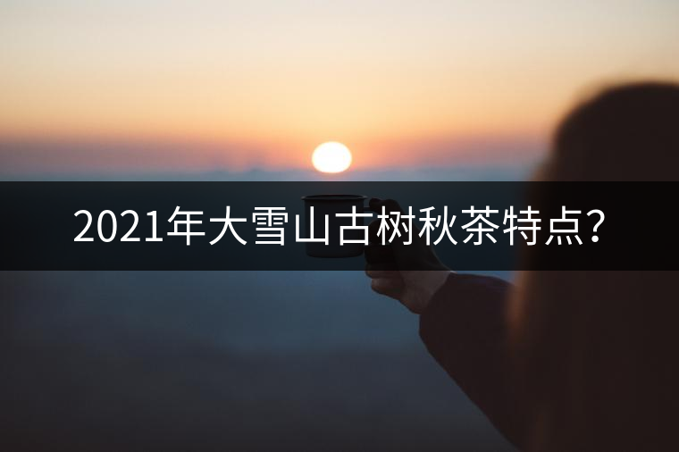 2021年大雪山古樹秋茶特點(diǎn)？