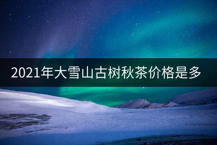 2021年大雪山古樹秋茶價格是多少？