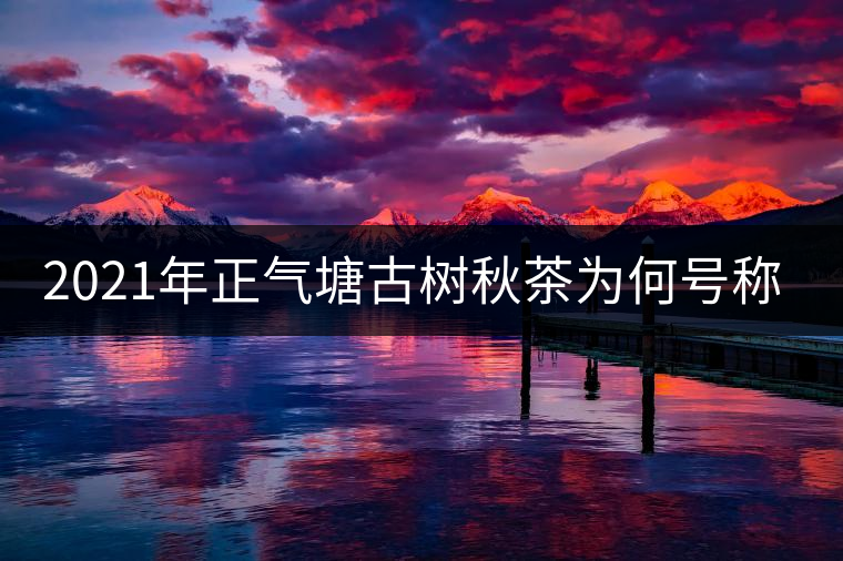 2021年正氣塘古樹秋茶為何號稱小冰島？