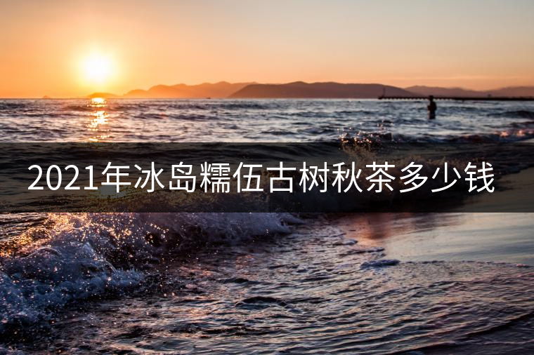2021年冰島糯伍古樹秋茶多少錢一公斤？