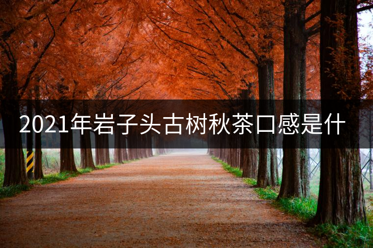2021年巖子頭古樹(shù)秋茶口感是什么？