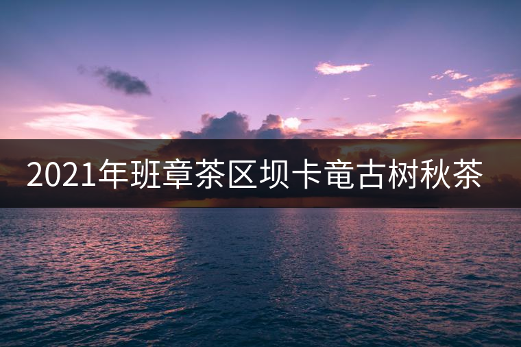 2021年班章茶區(qū)壩卡竜古樹秋茶多少錢一公斤？