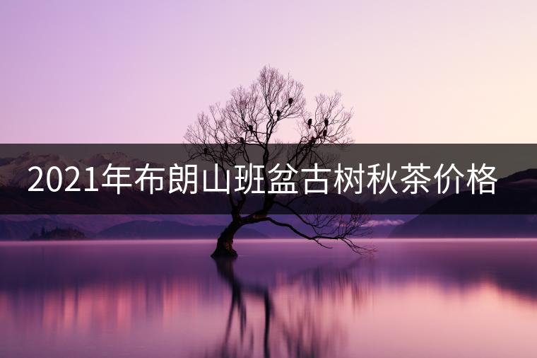 2021年布朗山班盆古樹秋茶價格？