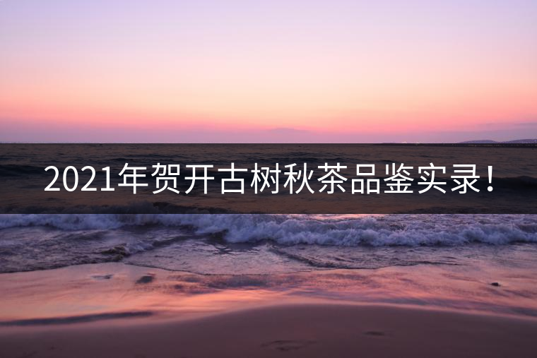 2021年賀開古樹秋茶品鑒實(shí)錄！