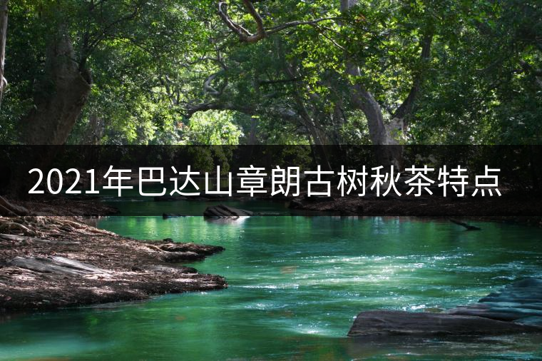 2021年巴達山章朗古樹秋茶特點？