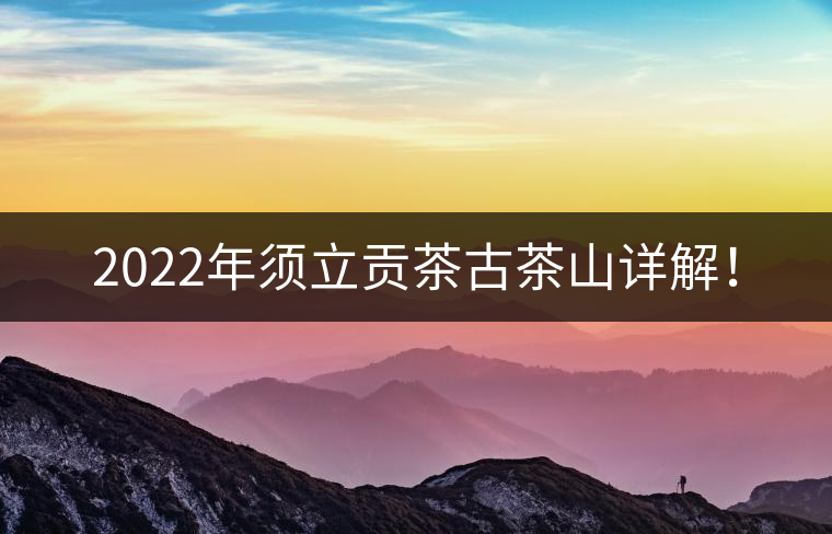 2022年須立貢茶古茶山詳解！