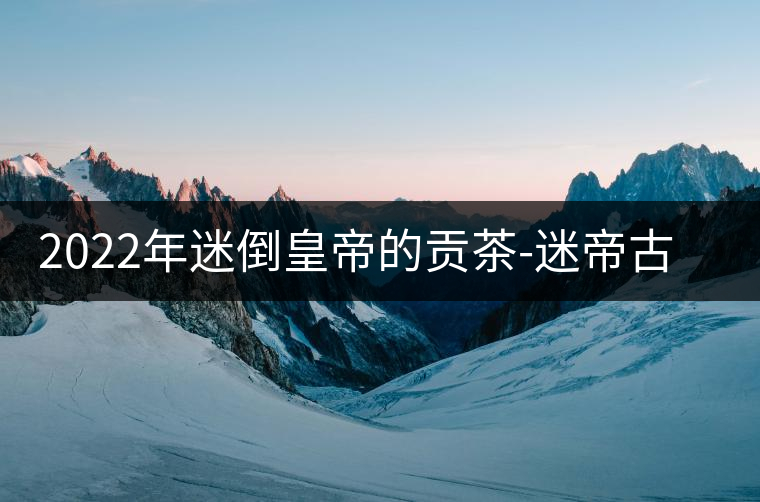 2022年迷倒皇帝的貢茶-迷帝古樹(shù)春茶特點(diǎn)？