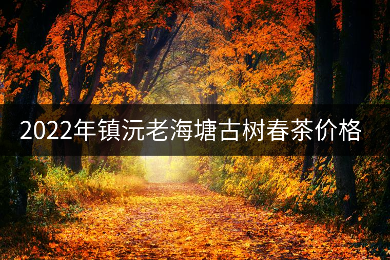 2022年鎮(zhèn)沅老海塘古樹春茶價格？