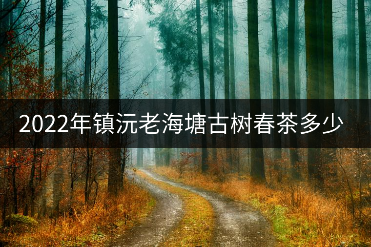 2022年鎮(zhèn)沅老海塘古樹(shù)春茶多少錢(qián)一公斤?