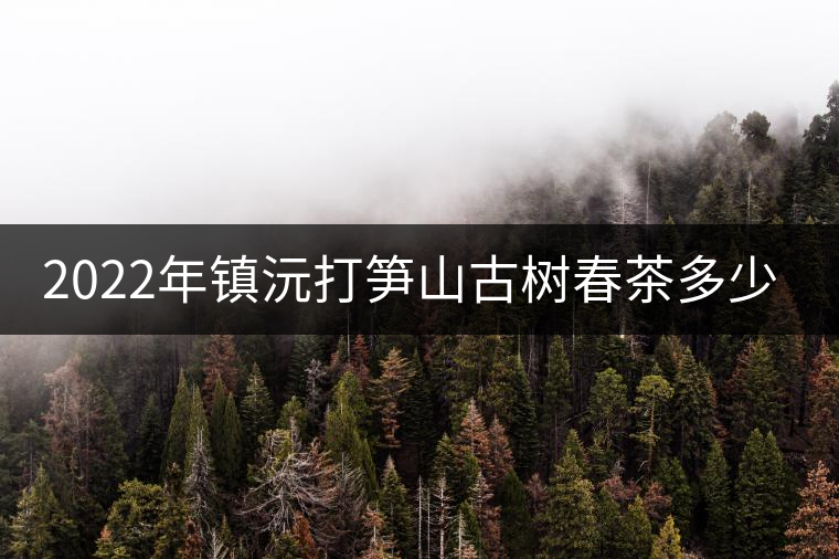2022年鎮(zhèn)沅打筍山古樹春茶多少錢一公斤？