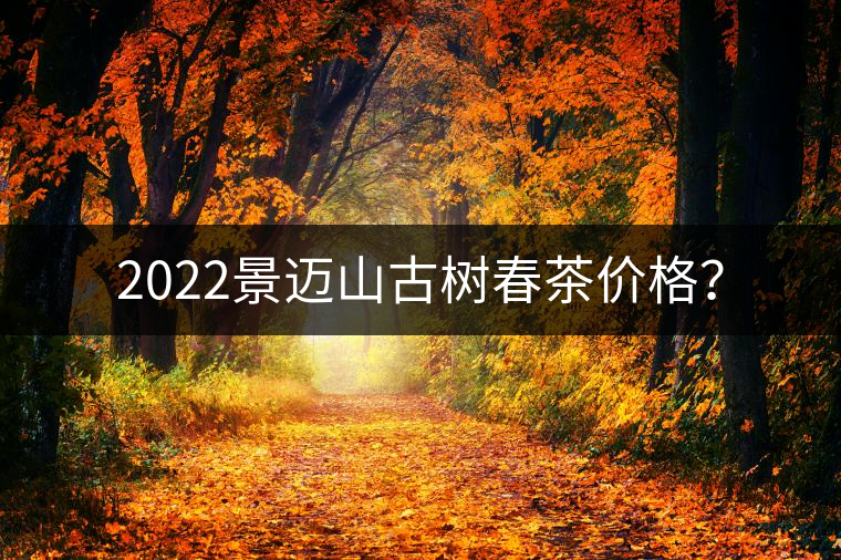 2022景邁山古樹春茶價格？
