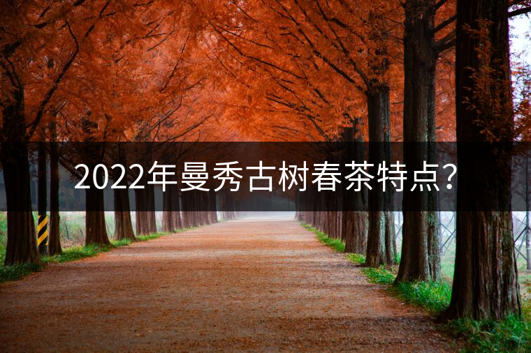 2022年曼秀古樹春茶特點(diǎn)？
