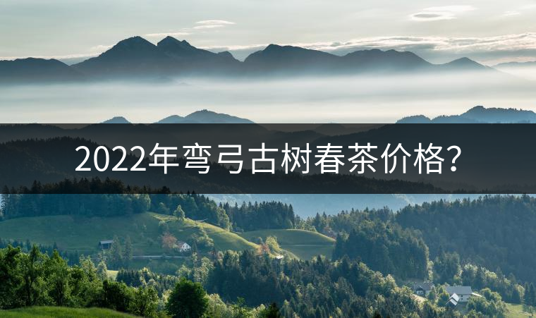2022年彎弓古樹春茶價(jià)格？