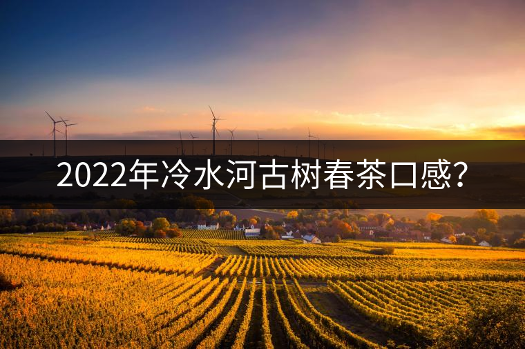 2022年冷水河古樹(shù)春茶口感? 2022年冷水河古樹(shù)春茶口感?