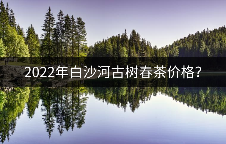 2022年白沙河古樹春茶價(jià)格？