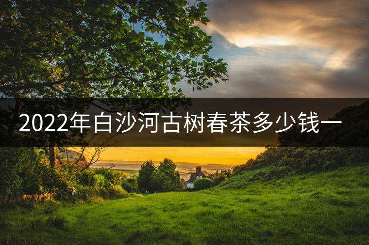 2022年白沙河古樹(shù)春茶多少錢一公斤？