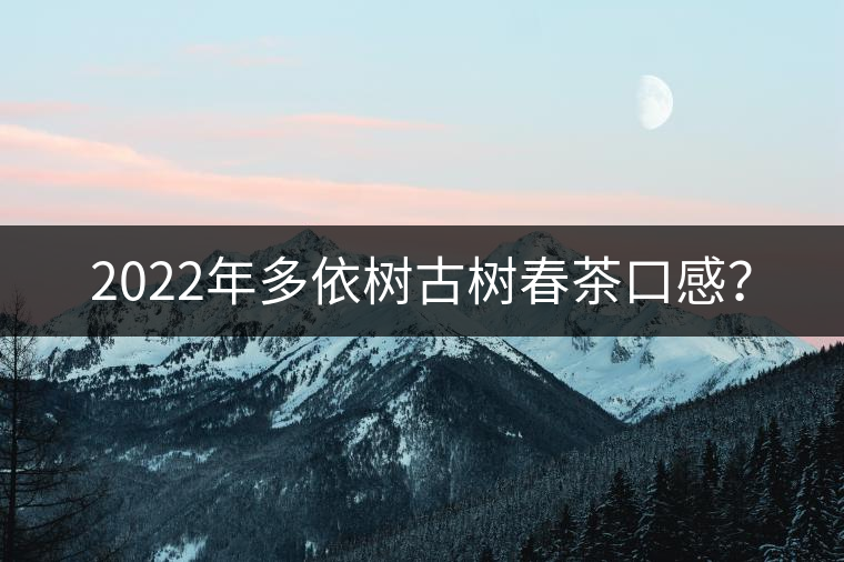 2022年多依樹古樹春茶口感？