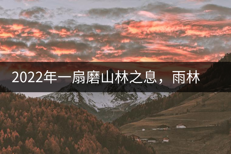 2022年一扇磨山林之息，雨林之味，原始之態(tài)
