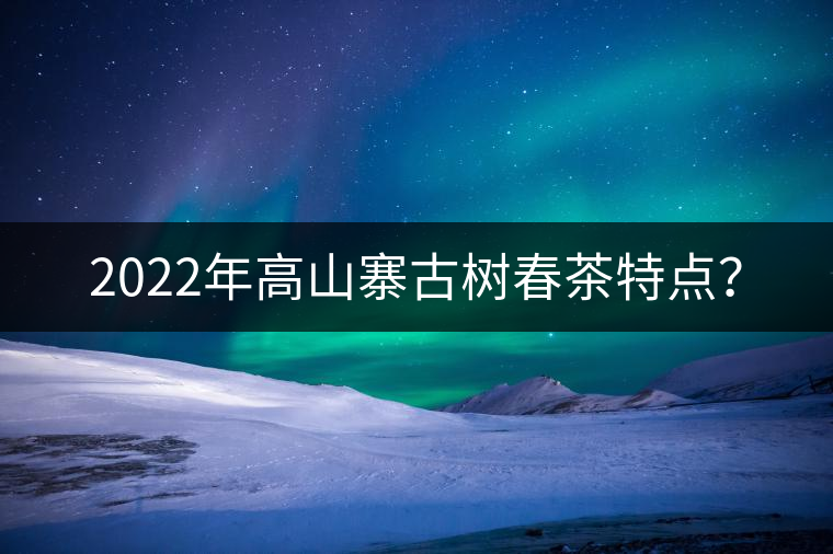 2022年高山寨古樹春茶特點(diǎn)？