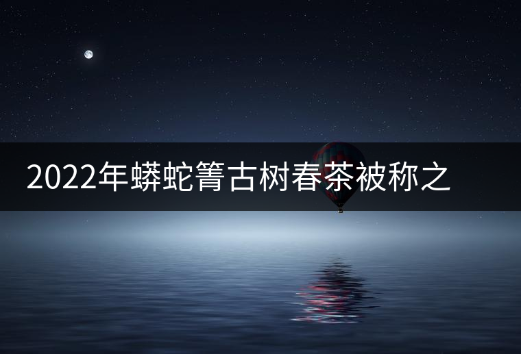 2022年蟒蛇箐古樹(shù)春茶被稱之為“蛇精”的普洱茶