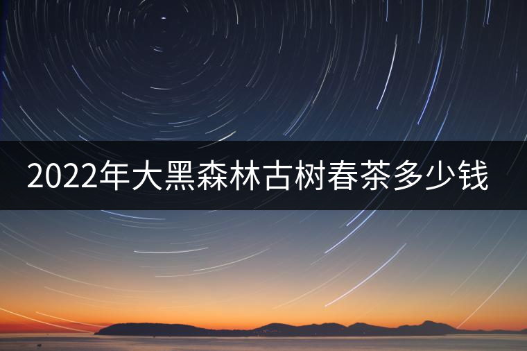2022年大黑森林古樹春茶多少錢一公斤？