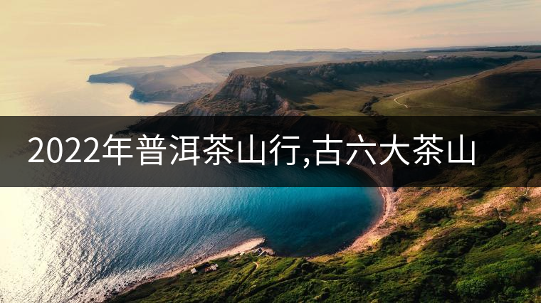 2022年普洱茶山行,古六大茶山里隱藏的王者蠻磚 2022年普洱茶山行,古六大茶山里隱藏的王者蠻磚
