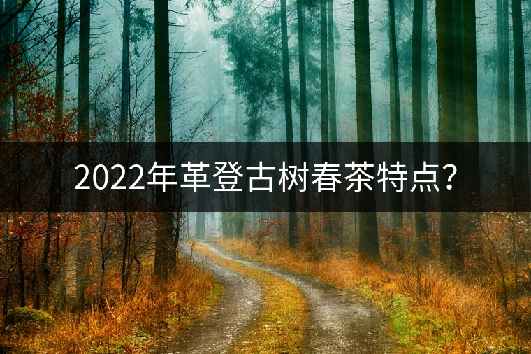 2022年革登古樹春茶特點？