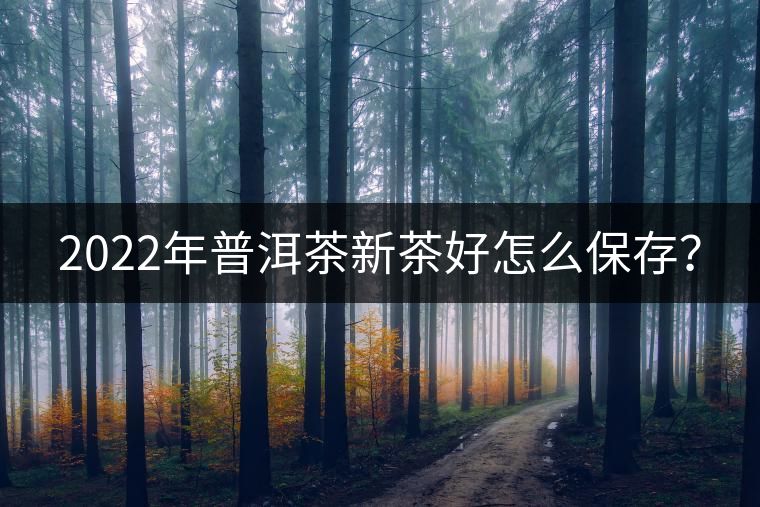 2022年普洱茶新茶好怎么保存？