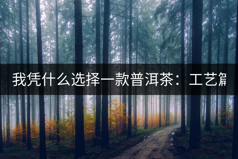 我憑什么選擇一款普洱茶：工藝篇？