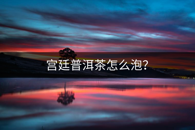 宮廷普洱茶怎么泡？