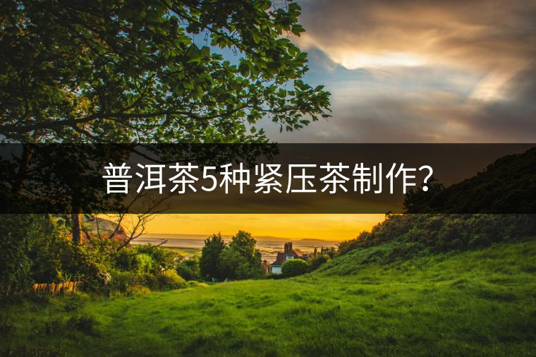 普洱茶5種緊壓茶制作？