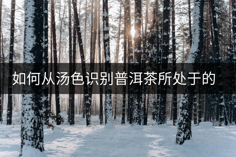 如何從湯色識(shí)別普洱茶所處于的轉(zhuǎn)化期？