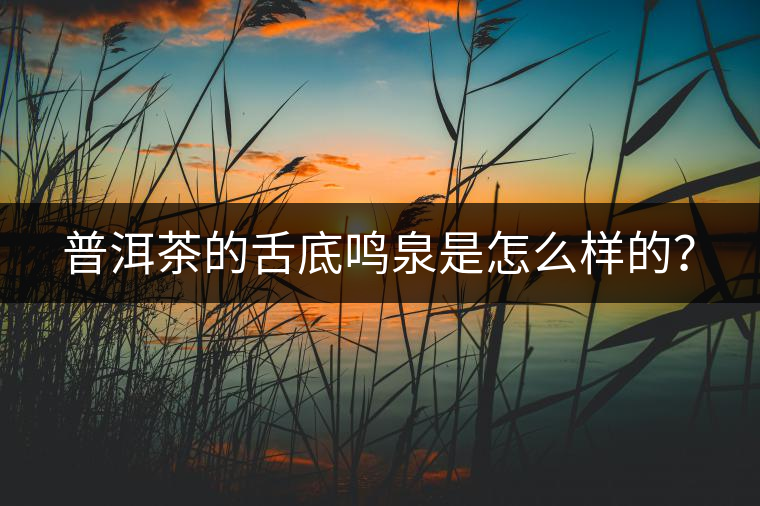 普洱茶的舌底鳴泉是怎么樣的？
