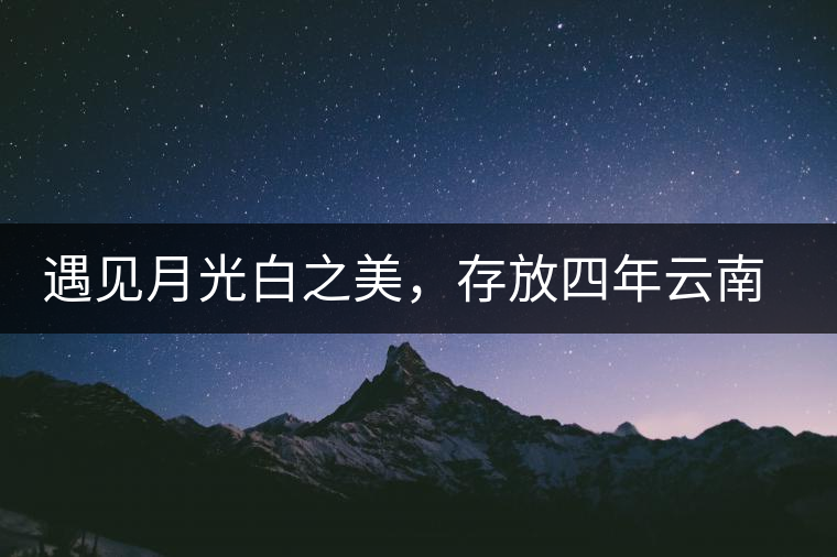 遇見月光白之美，存放四年云南古樹白茶