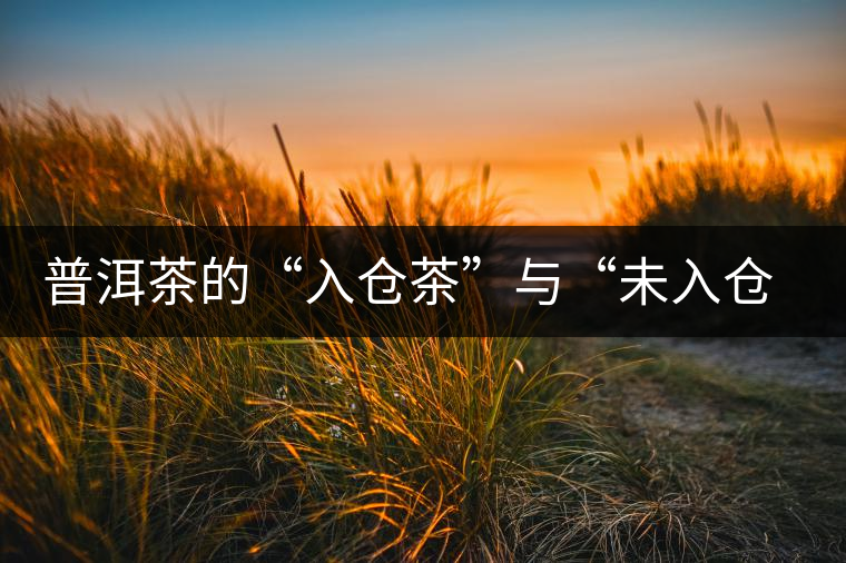 普洱茶的“入倉茶”與“未入倉茶”如何區(qū)分，你造嗎？