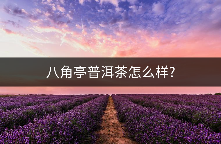 八角亭普洱茶怎么樣?