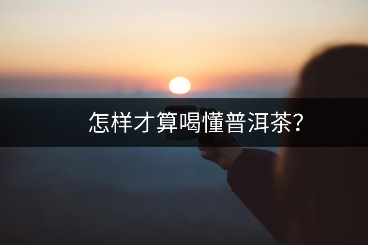 　怎樣才算喝懂普洱茶？