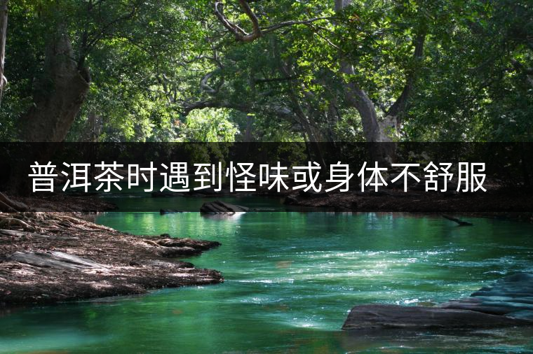 普洱茶時遇到怪味或身體不舒服時，怎么破？